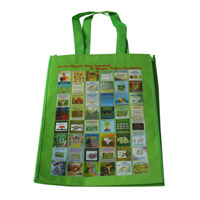 莆田LB11覆膜无纺布广告袋